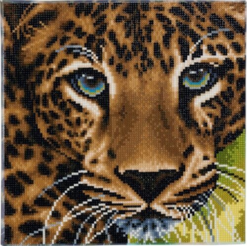 Vedes - Crystal Art Leinwand Leopard, 30 x 30 cm