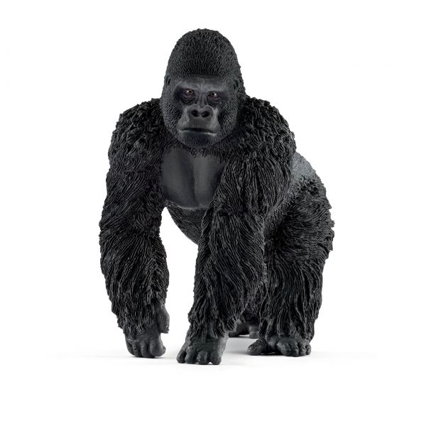 Gorilla M„nnchen
