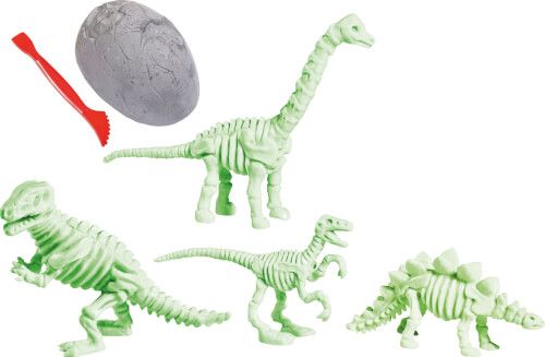 SIMBA Ausgrabung - Dino Skelett, sortiert