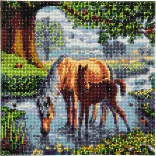 Vedes - Crystal Art Leinwand Ponys, 30 x 30 cm