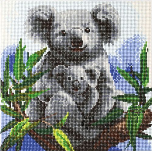 Crystal Art - Leinwandbild Koalas 30 x 30 cm
